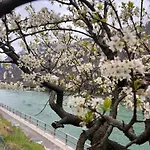 Borgo Lungofiume 3*