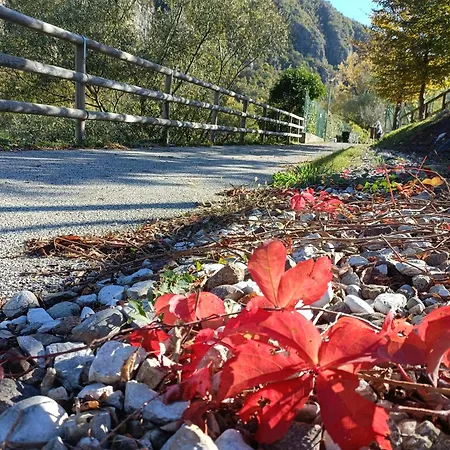 Borgo Lungofiume *